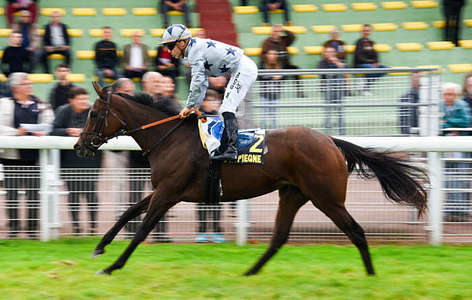 Actualités Hippiques